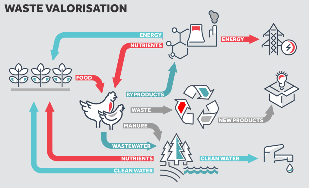 diagram of waste valorisation process