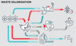 diagram of waste valorisation process